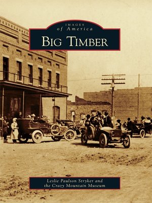 cover image of Big Timber